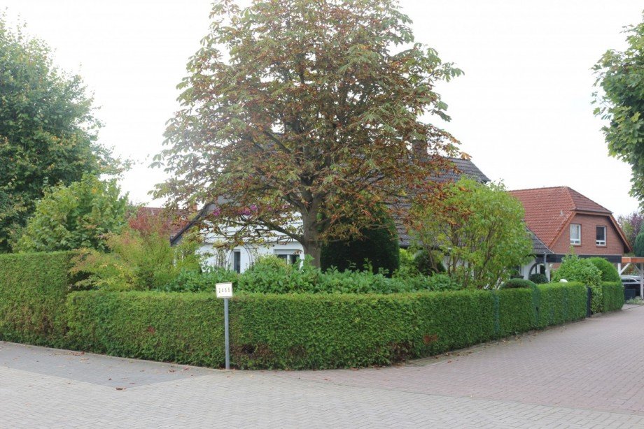 IMG_9948 Einfamilienhaus Bad Salzuflen