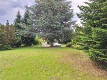 20240721_111751 Verkauft! Park�hnliches Grundst�ck mit gro�em Bungalow und Bauplatz-Provisionsfrei