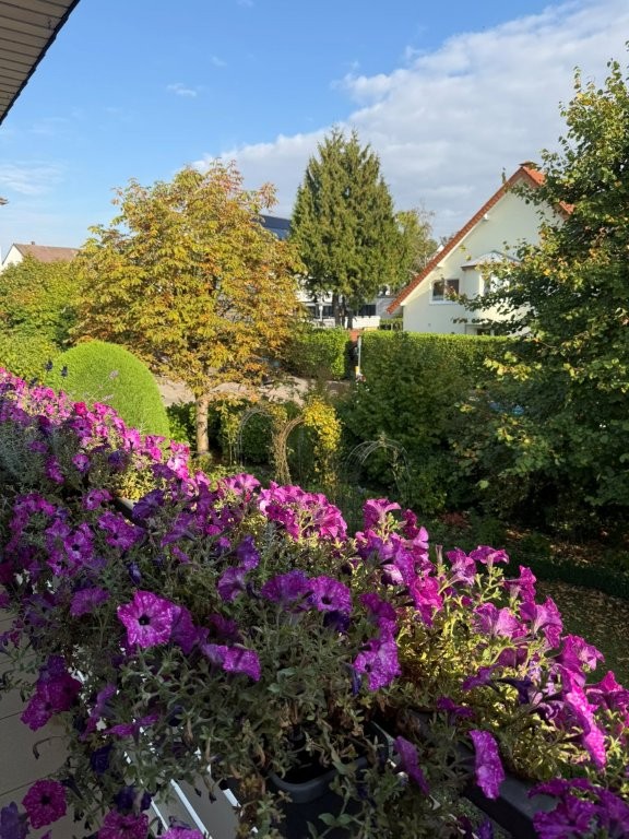 DG sauer 4 Einfamilienhaus Bad Salzuflen