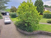 20240721_111259 Verkauft! Park�hnliches Grundst�ck mit gro�em Bungalow und Bauplatz-Provisionsfrei