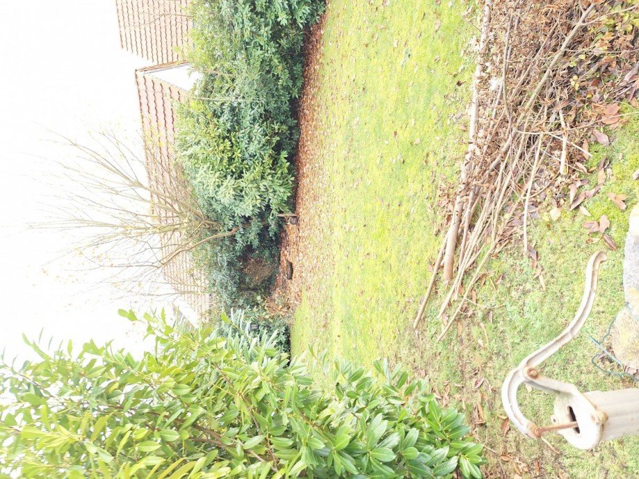 20251126_152050 Einfamilienhaus Bad Salzuflen