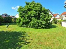 20240715_101654 VERKAUFT! Stadtvilla mit Ausstrahlung und Potenzial