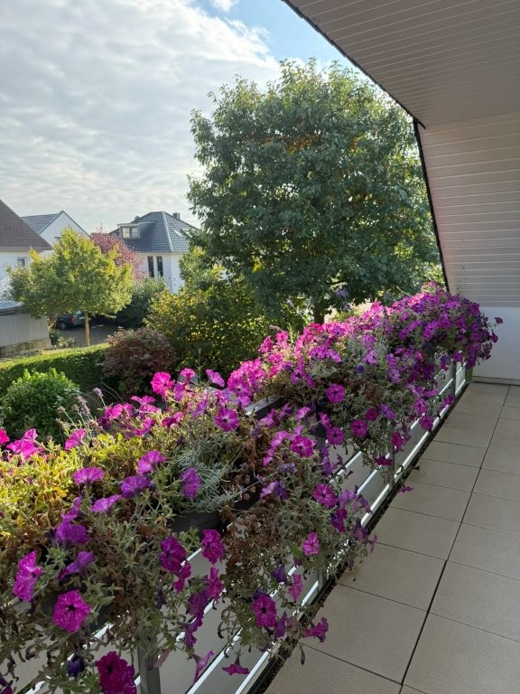 DG sauer 3 Einfamilienhaus Bad Salzuflen